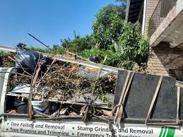 Professional Junk Removal Services in Cloverport, KY